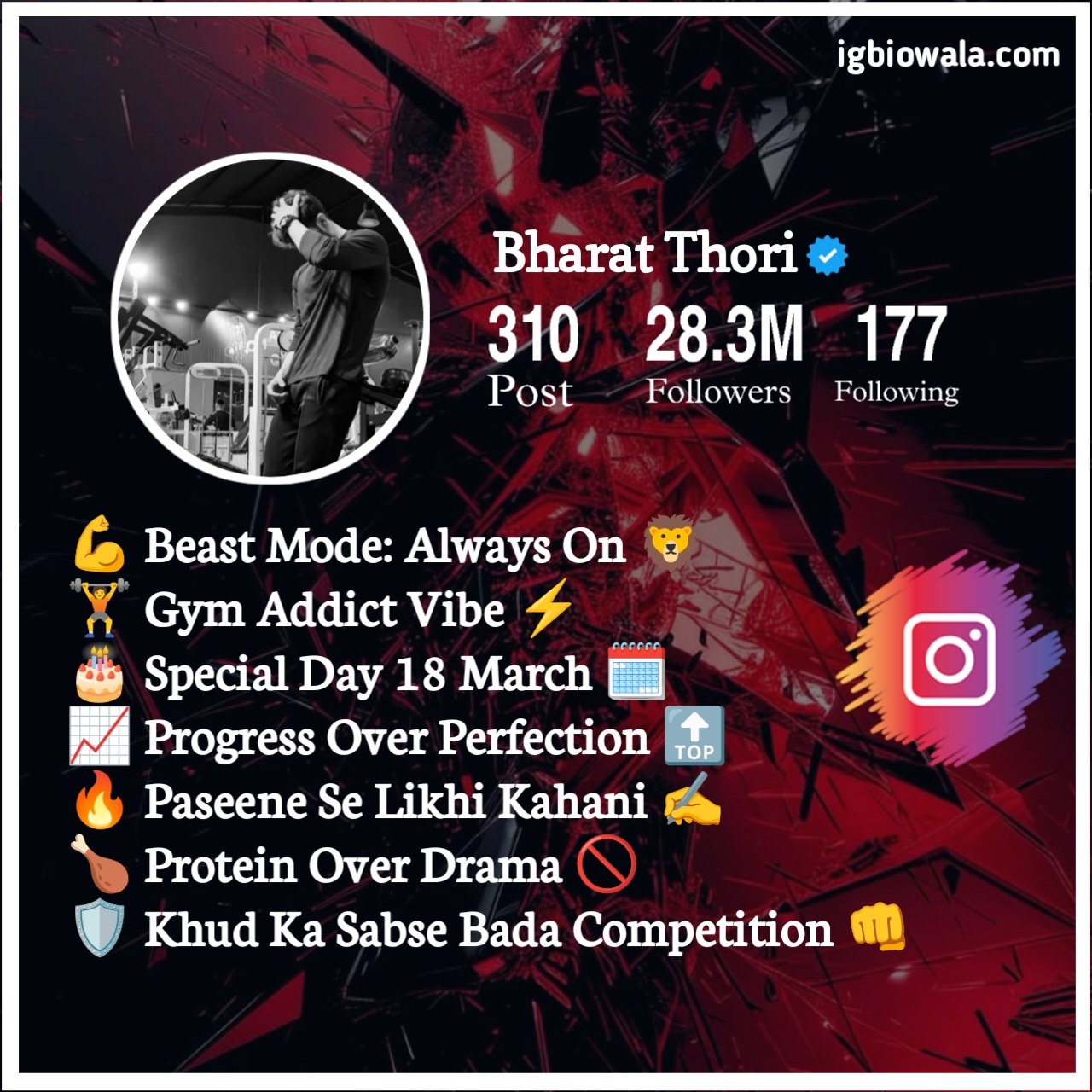 Gym Bio For Instagram For Boy Attitude