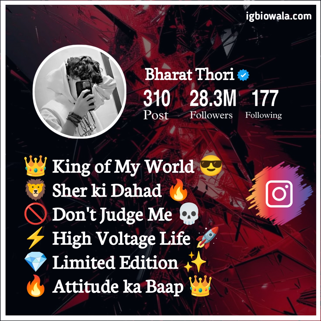 Instagram Bio For Boys Attitude