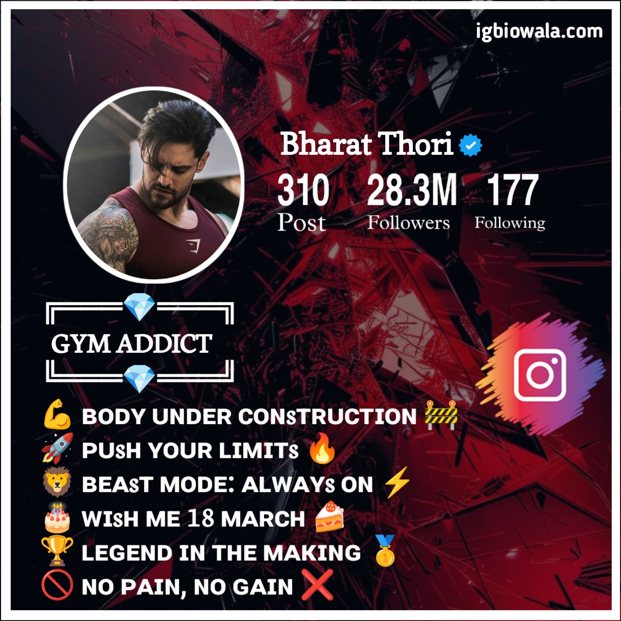 Gym Bio For Instagram Stylish