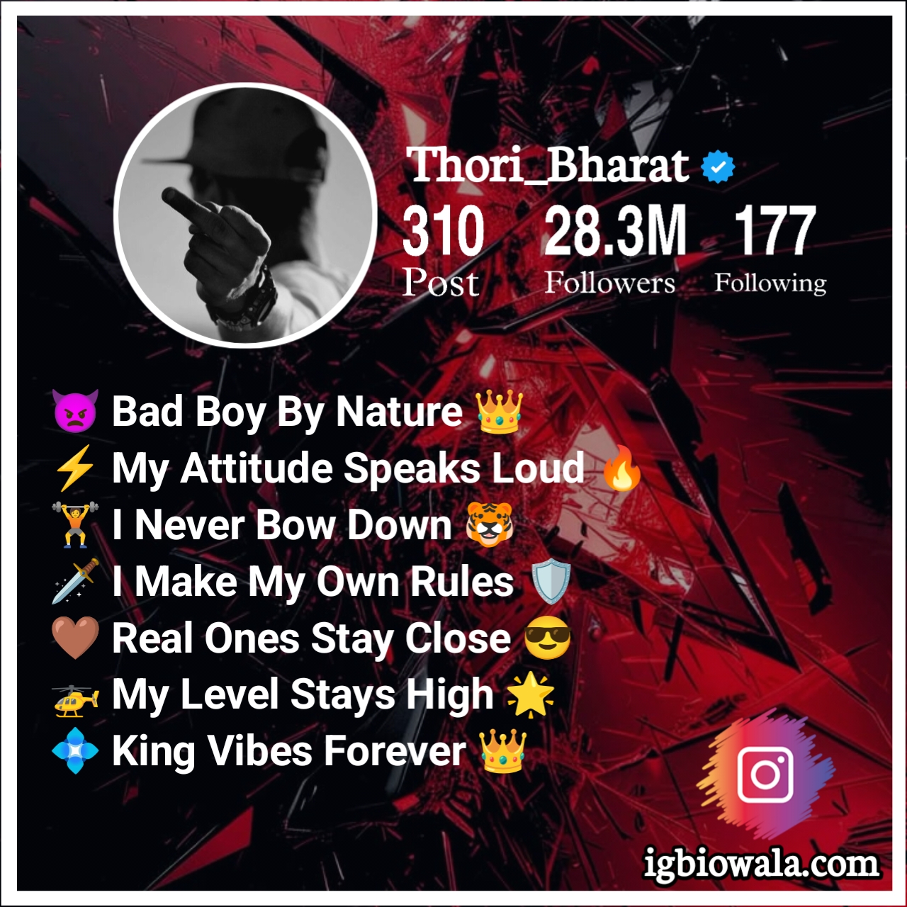 Bad Boy Bio For Instagram In English