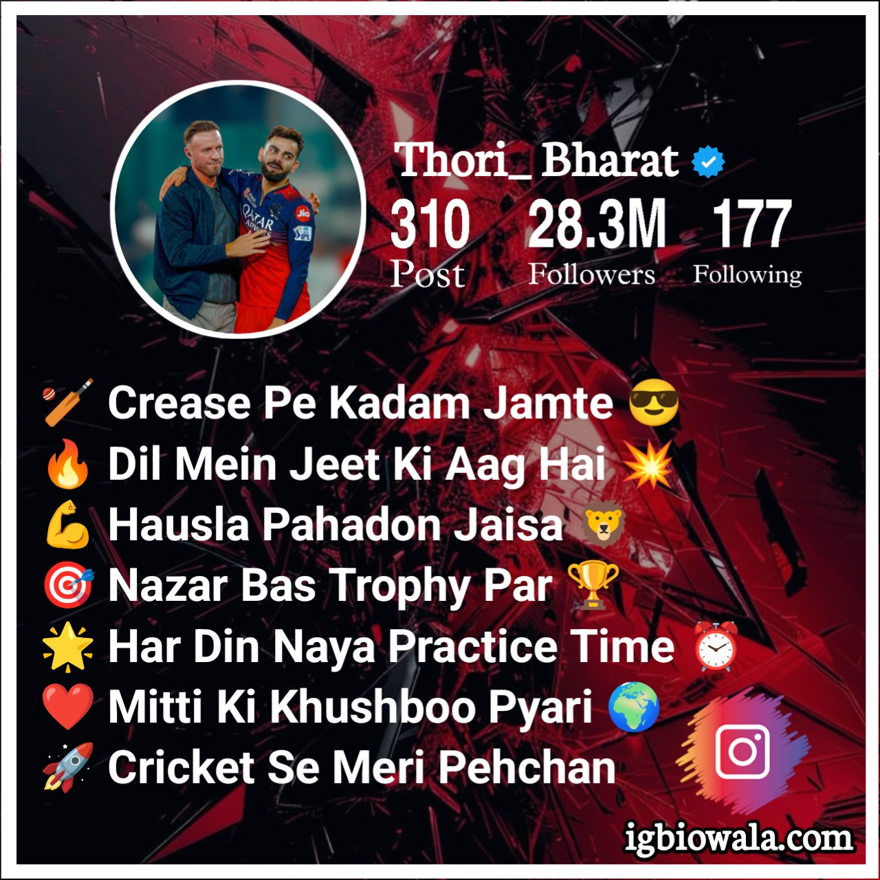 Cricket Bio For Instagram Copy And Paste