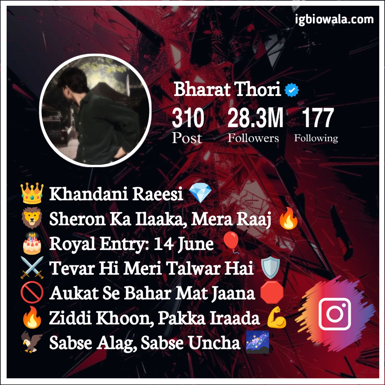 Instagram Bio For Boys With Emoji