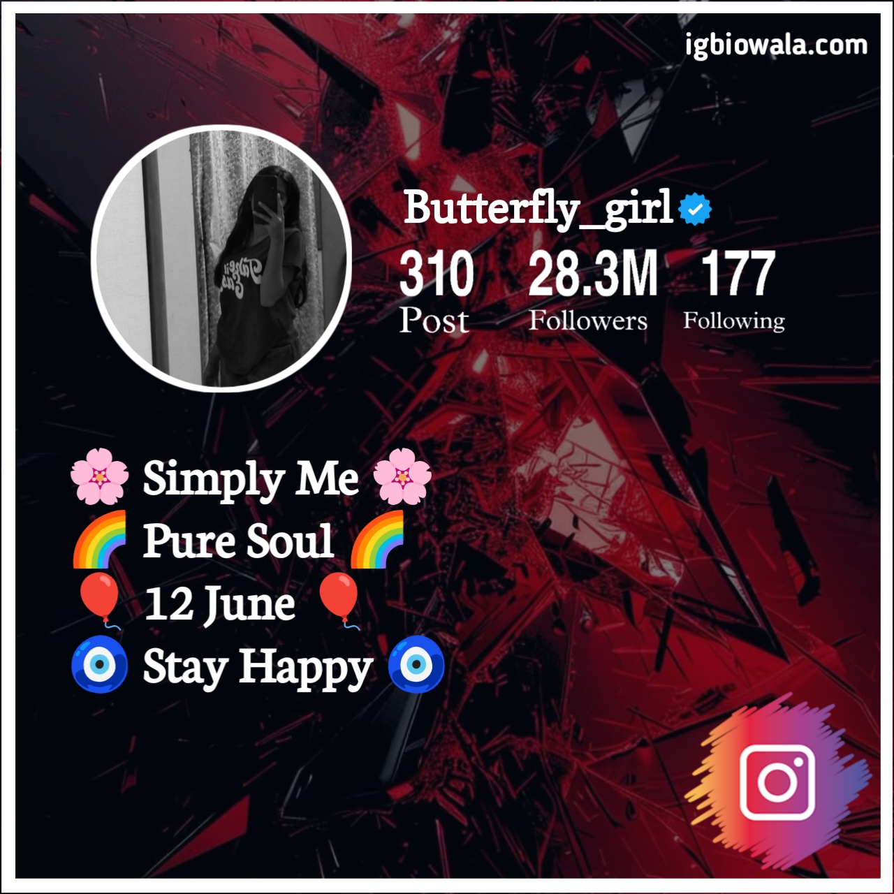 Instagram Bio For Girls Short