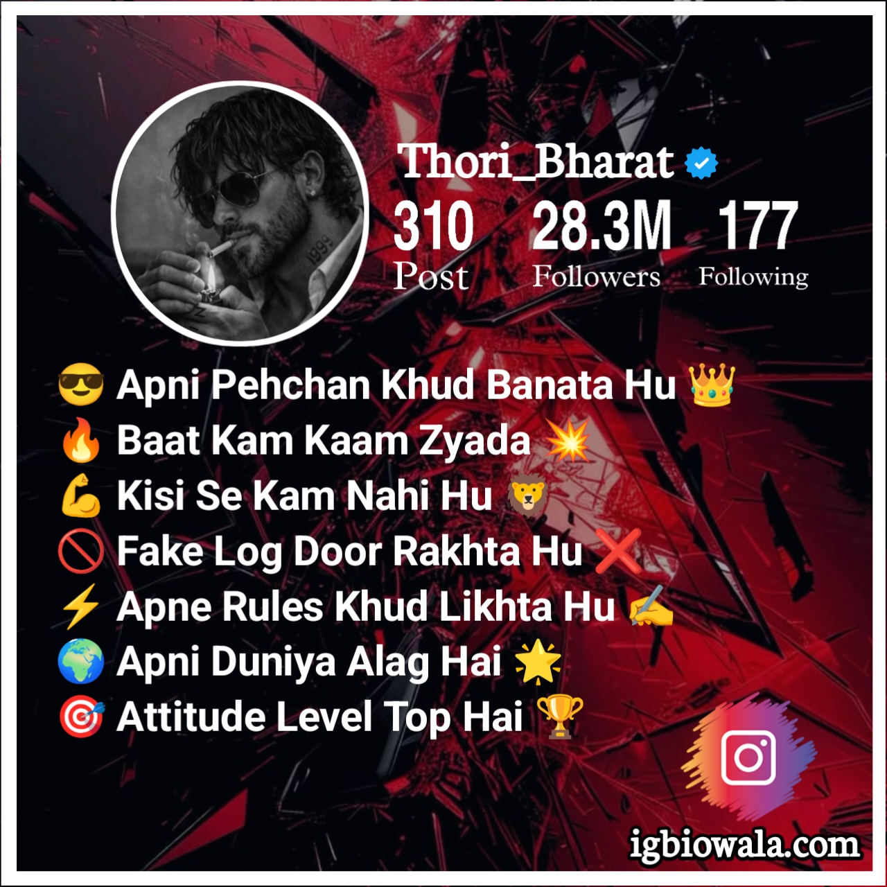 Instagram Bio Ideas Attitude