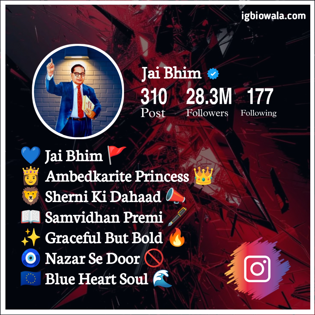 Bio For Instagram Jay Bhim Girl