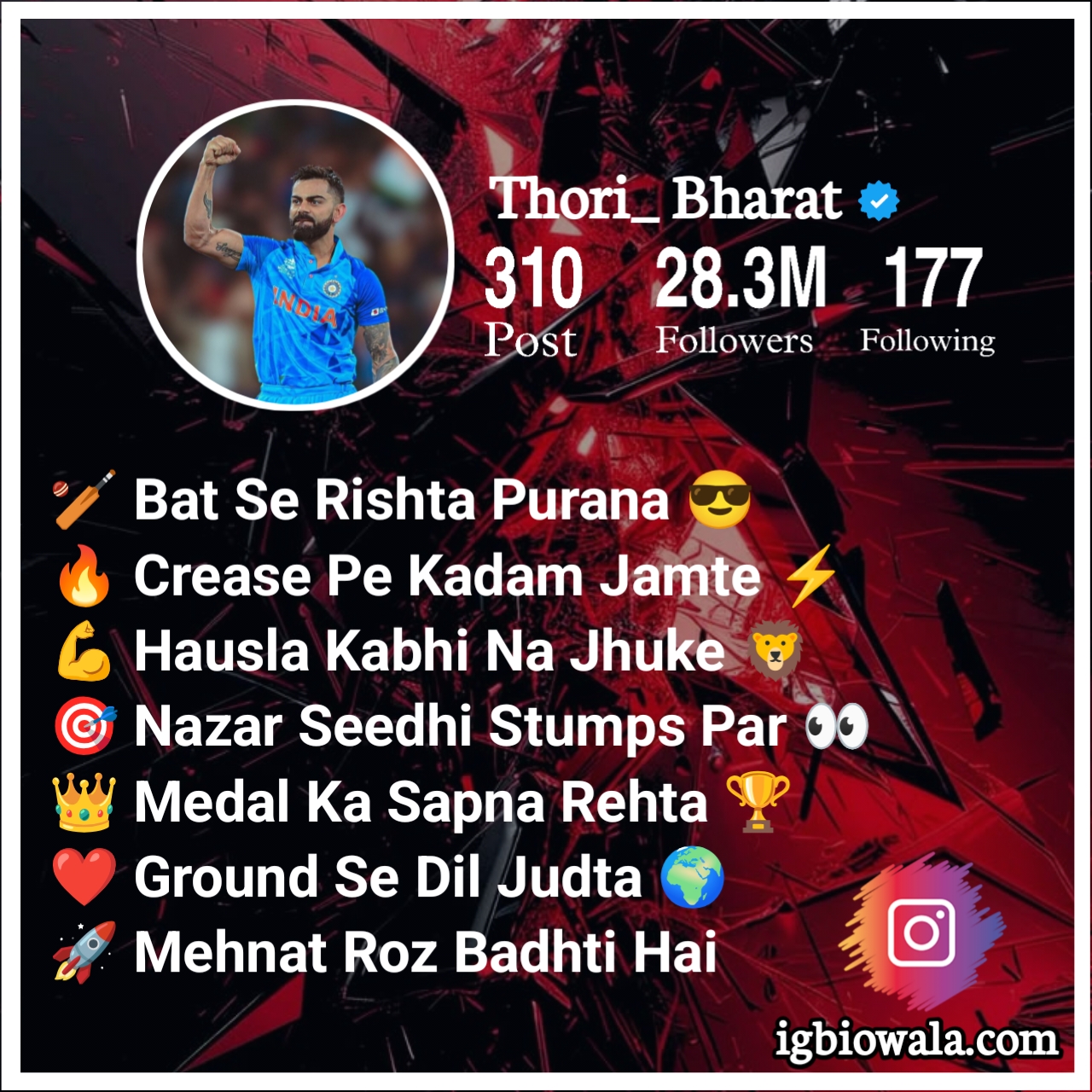 Best Bio For Cricket Lover