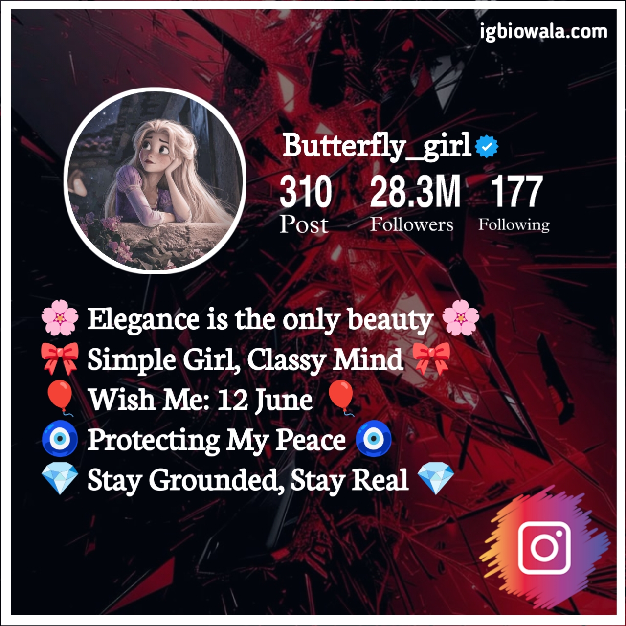 Classy Bio For Instagram For Girl