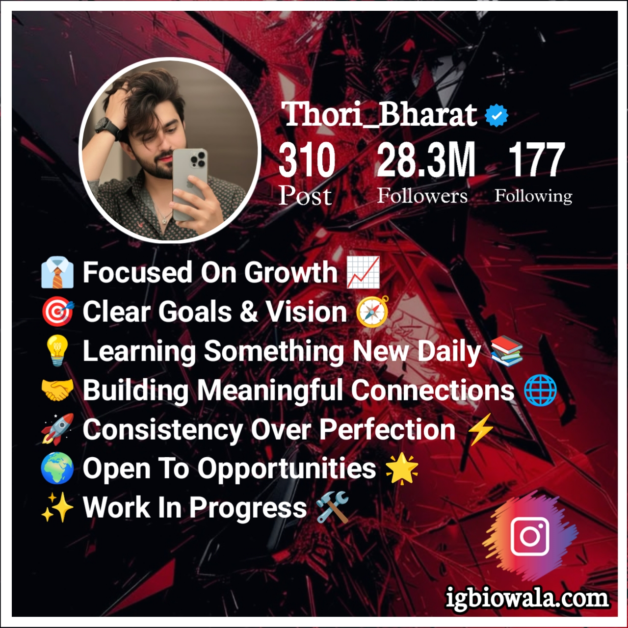 Instagram Bio Ideas Professional