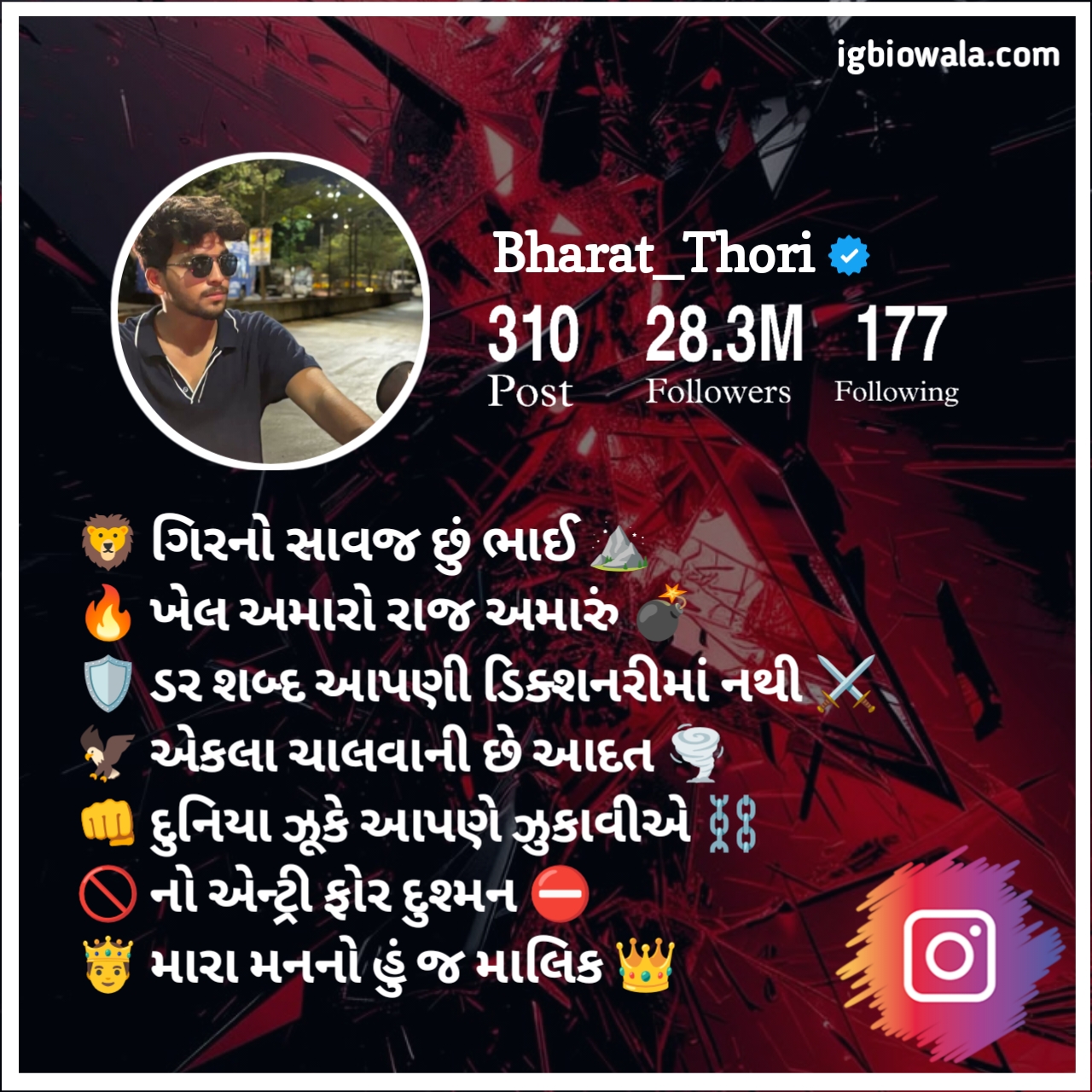 Instagram Bio In Gujarati For Boy
