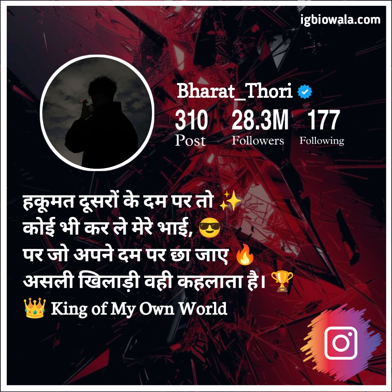 Instagram Bio Shayari Attitude