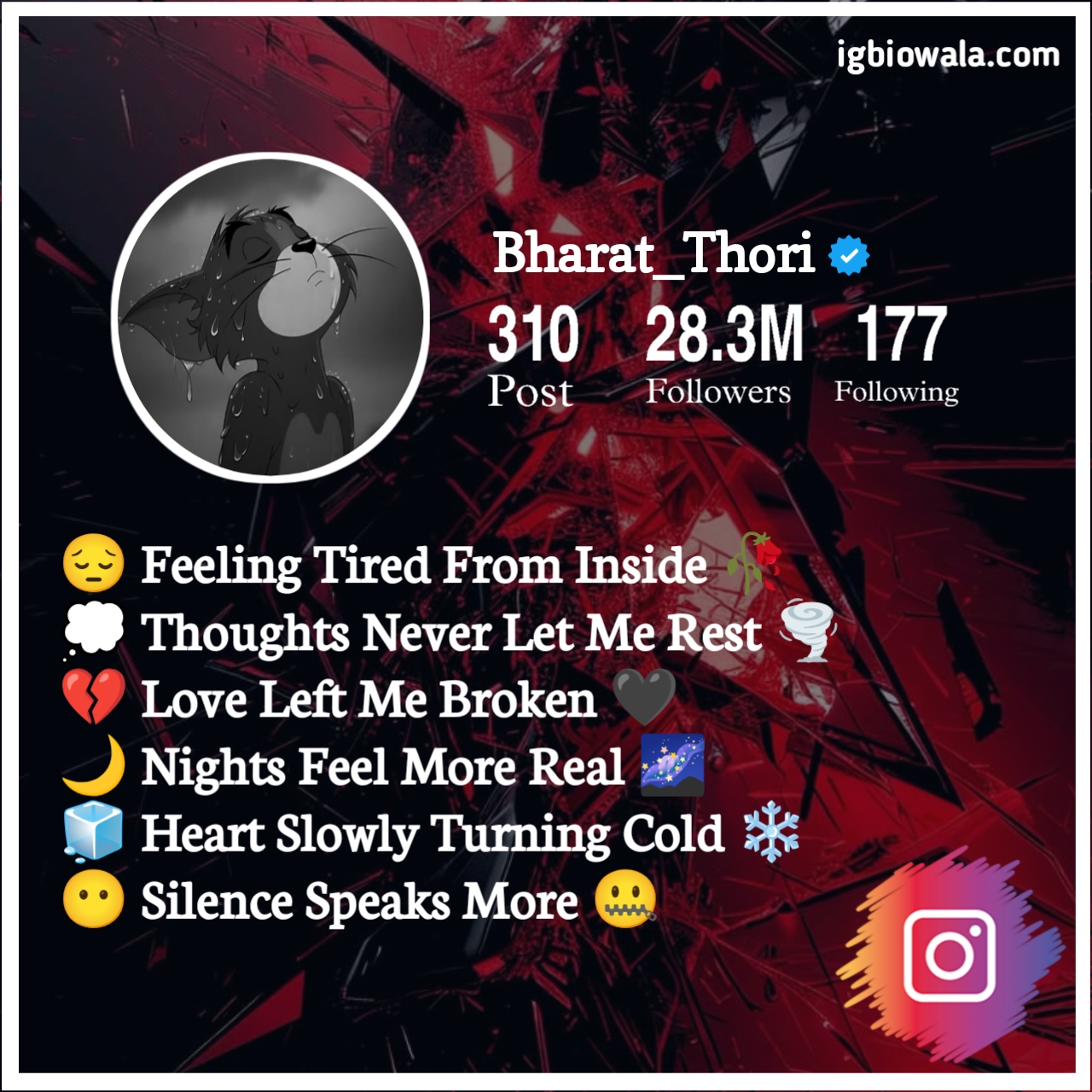 Sad Bio For Instagram In English