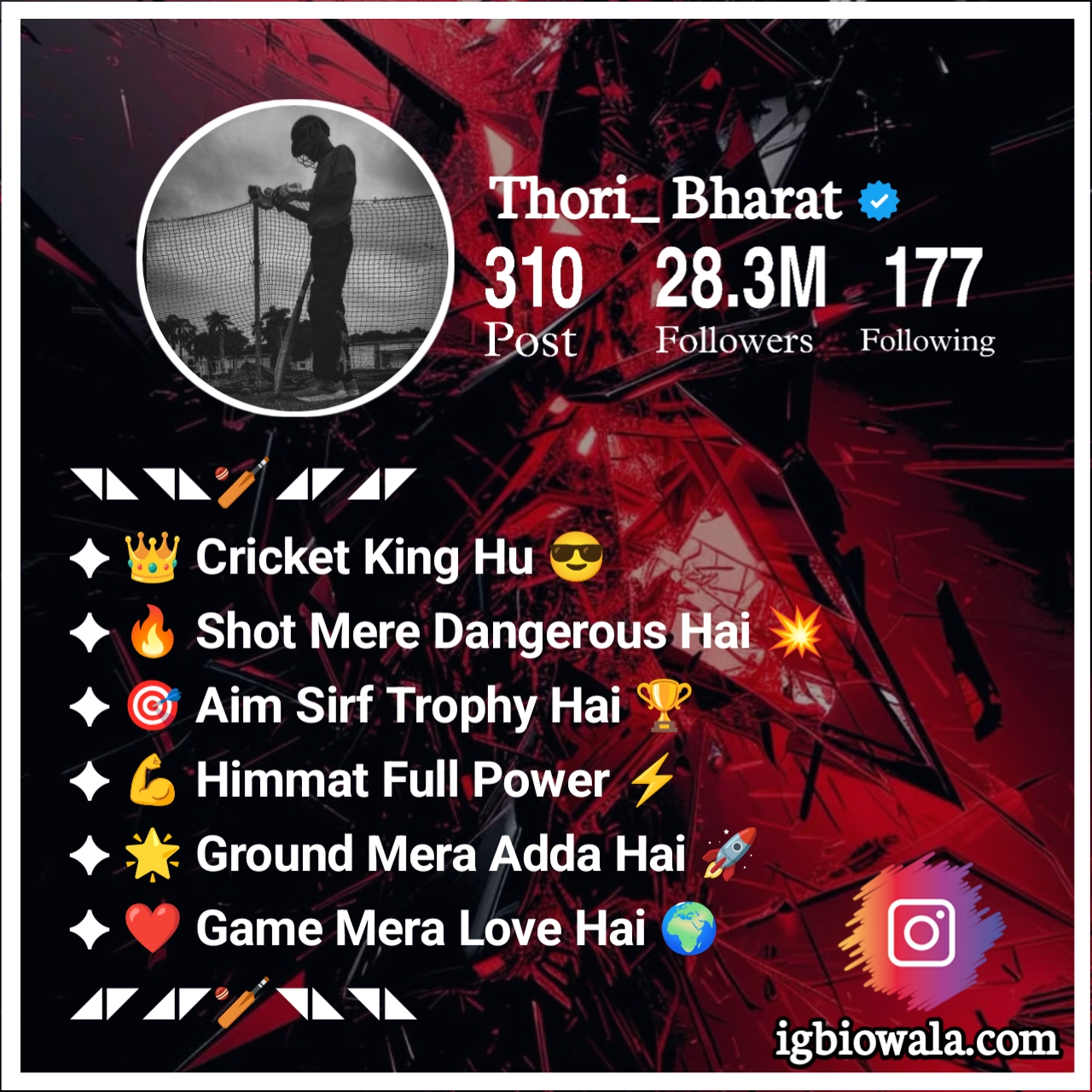 Instagram Cricket Bio Stylish