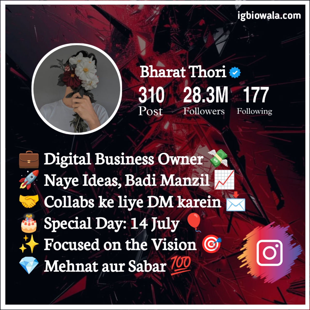 Instagram Bio For Boys Professional