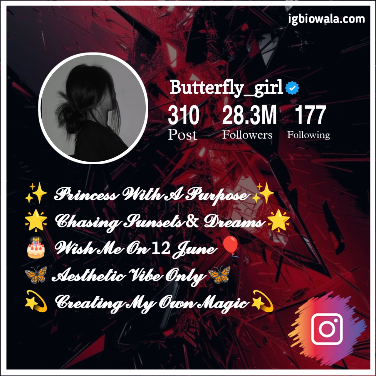 Instagram Bio For Girls Stylish Font