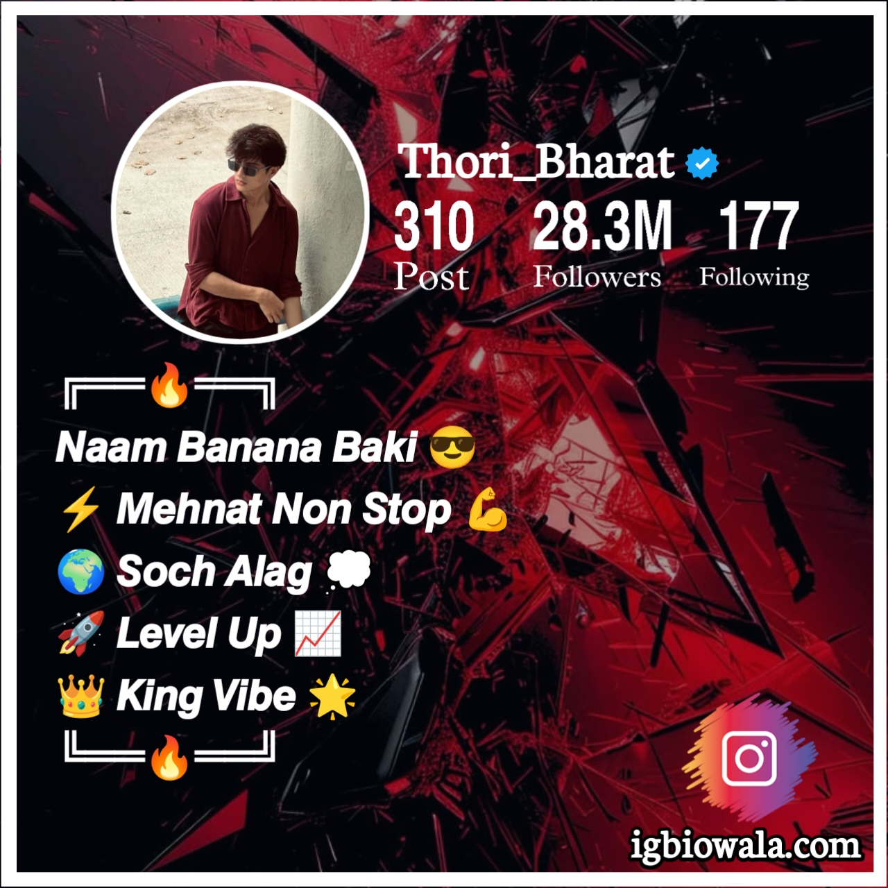 Instagram Bio Ideas Stylish