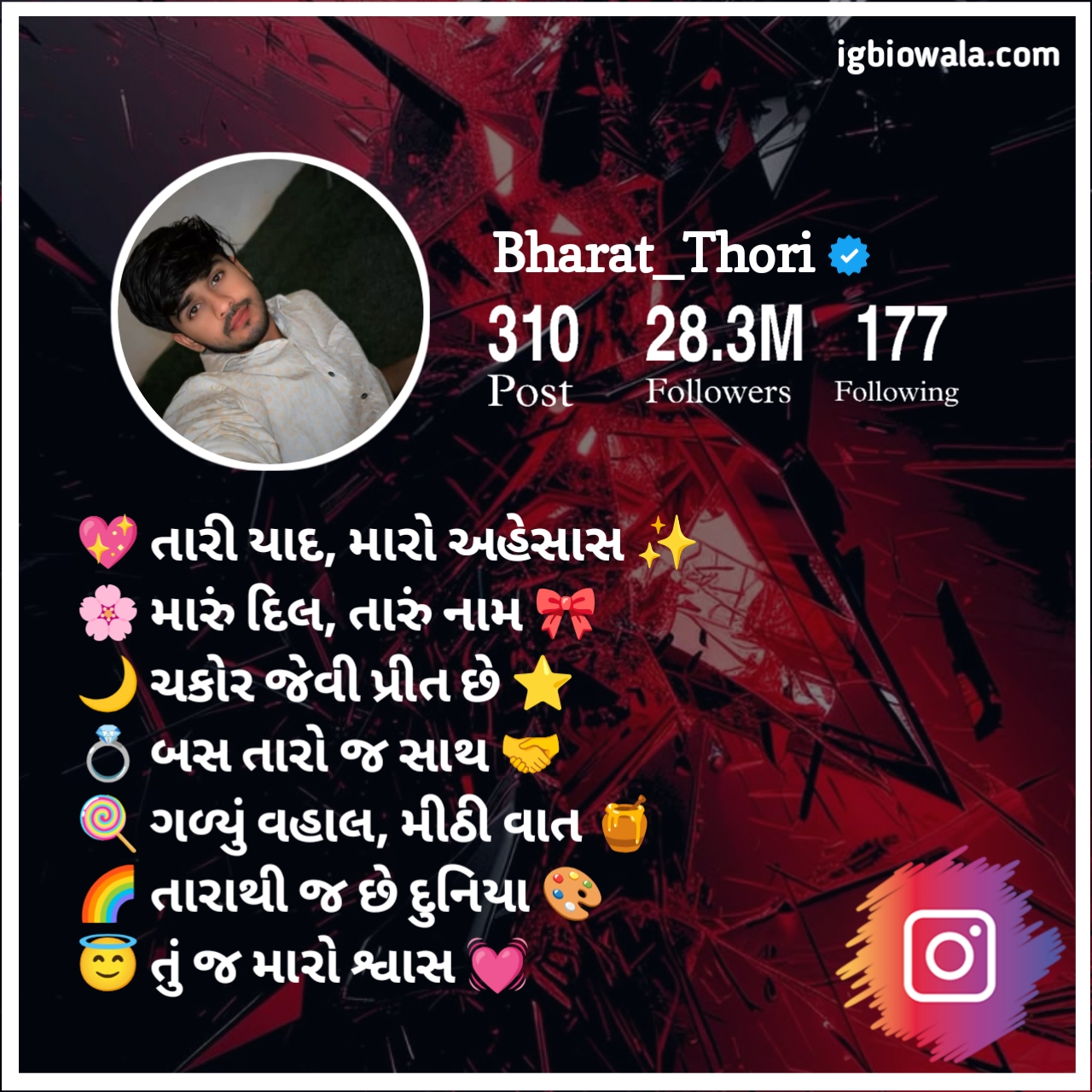 Instagram Bio Gujarati Love
