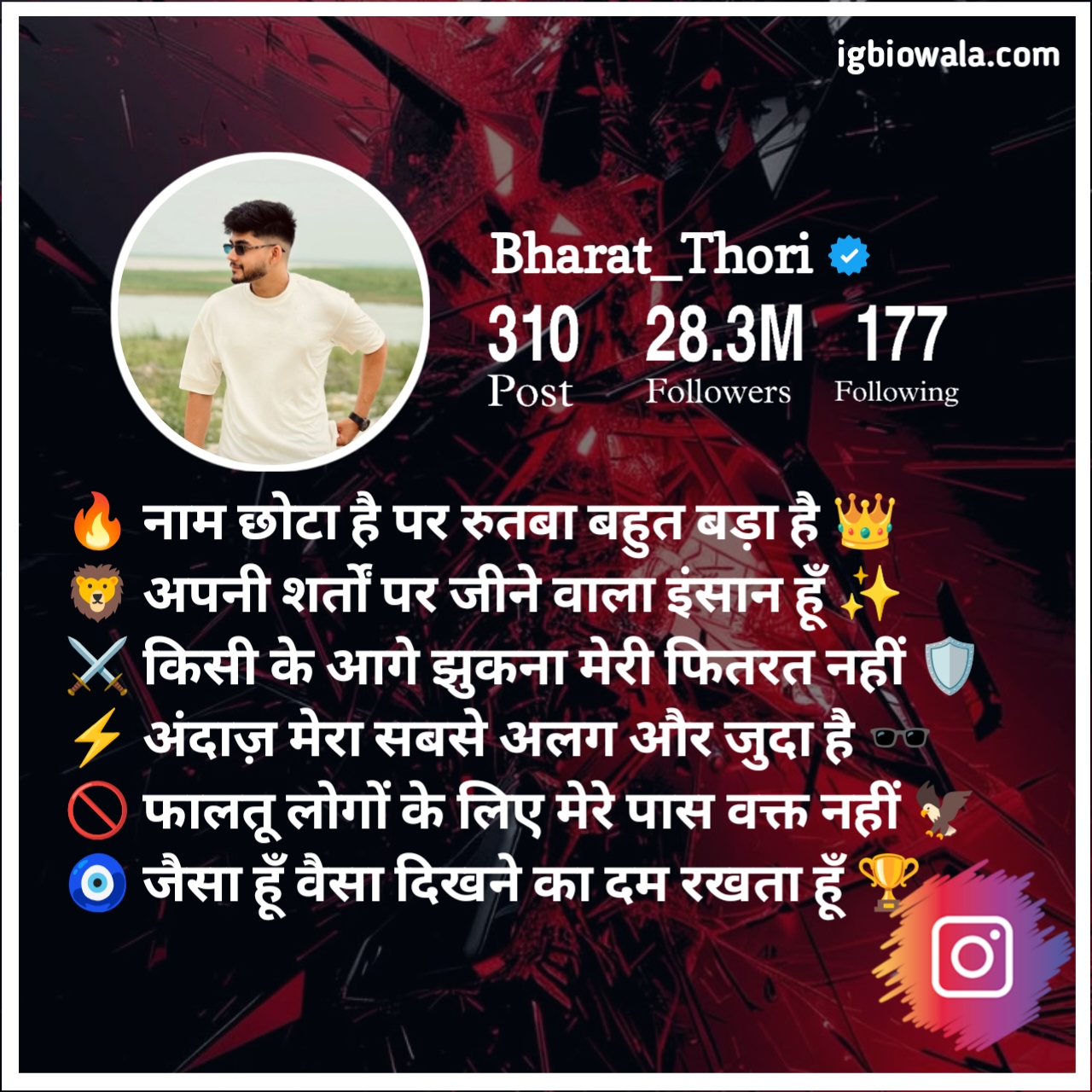 Instagram Bio In Hindi Attitude