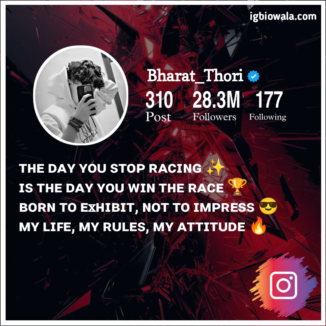 Instagram Bio Shayari In English