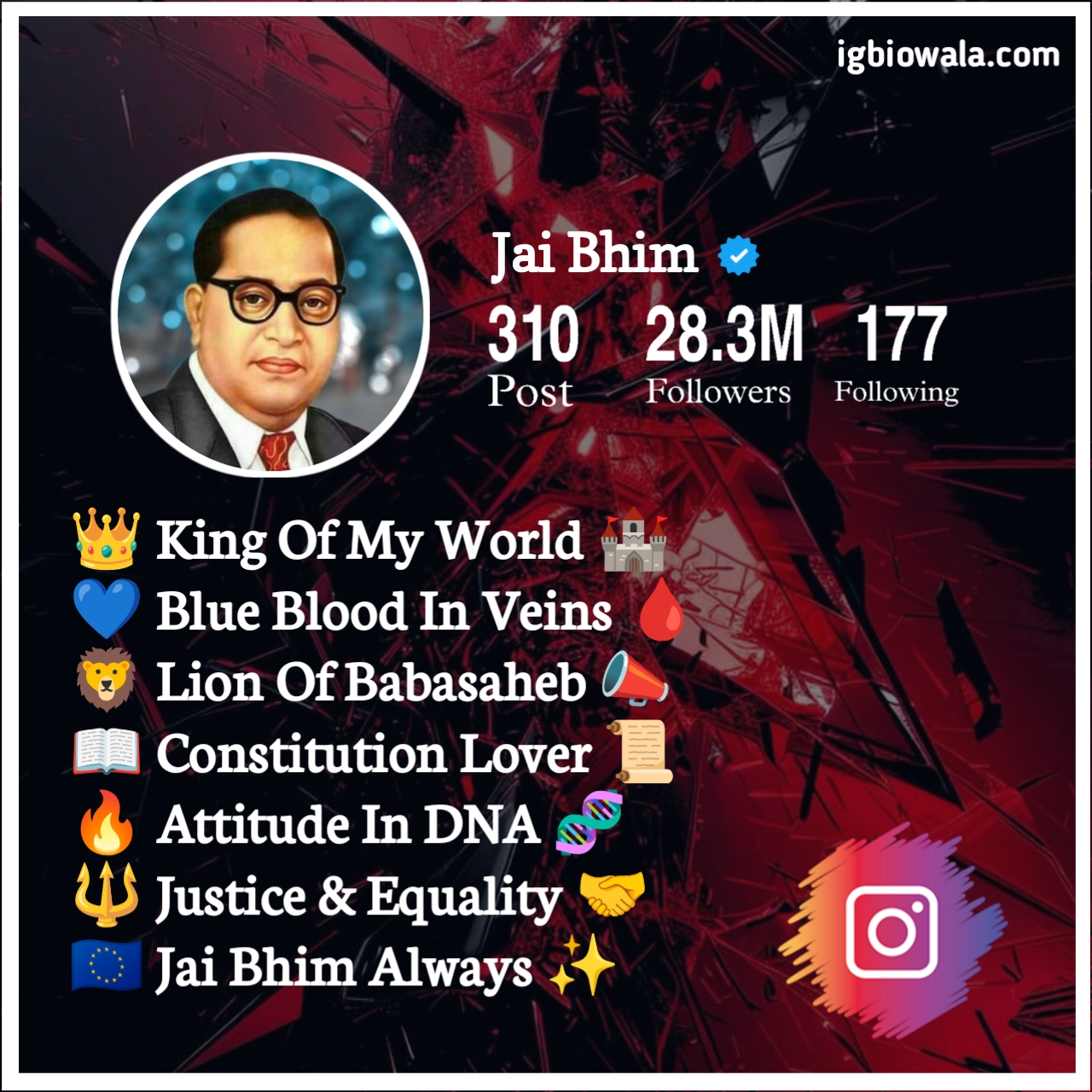 Jay Bhim Bio Stylish In English