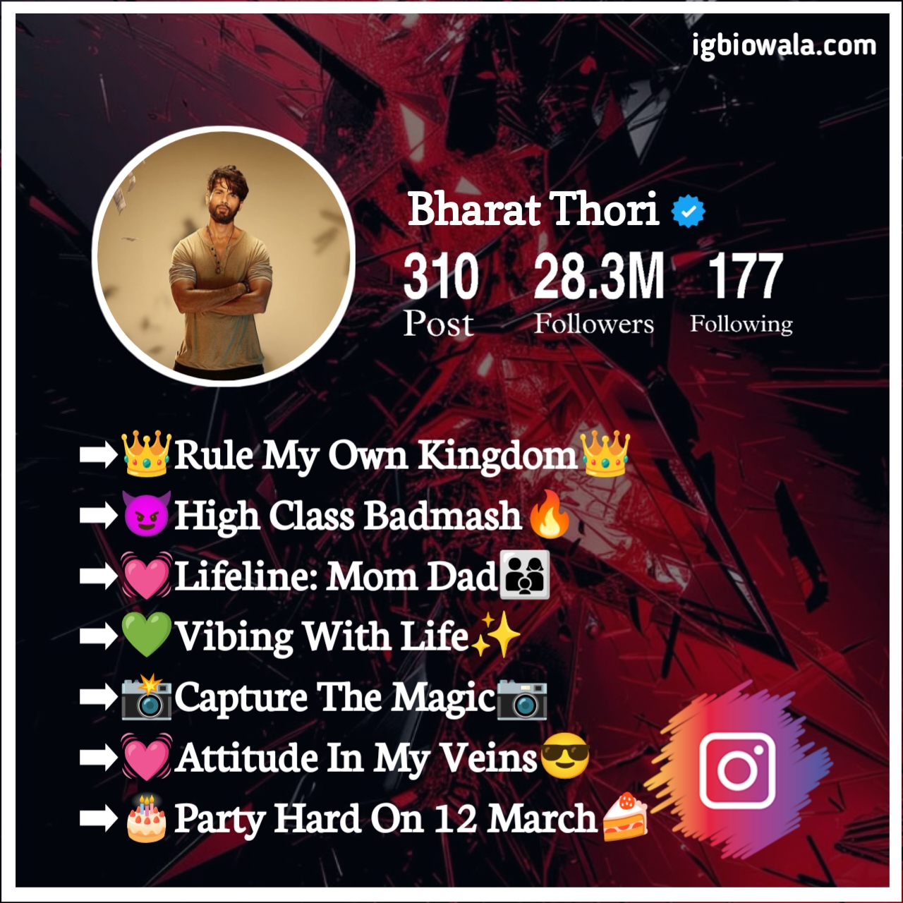 Badmash Bio For Instagram