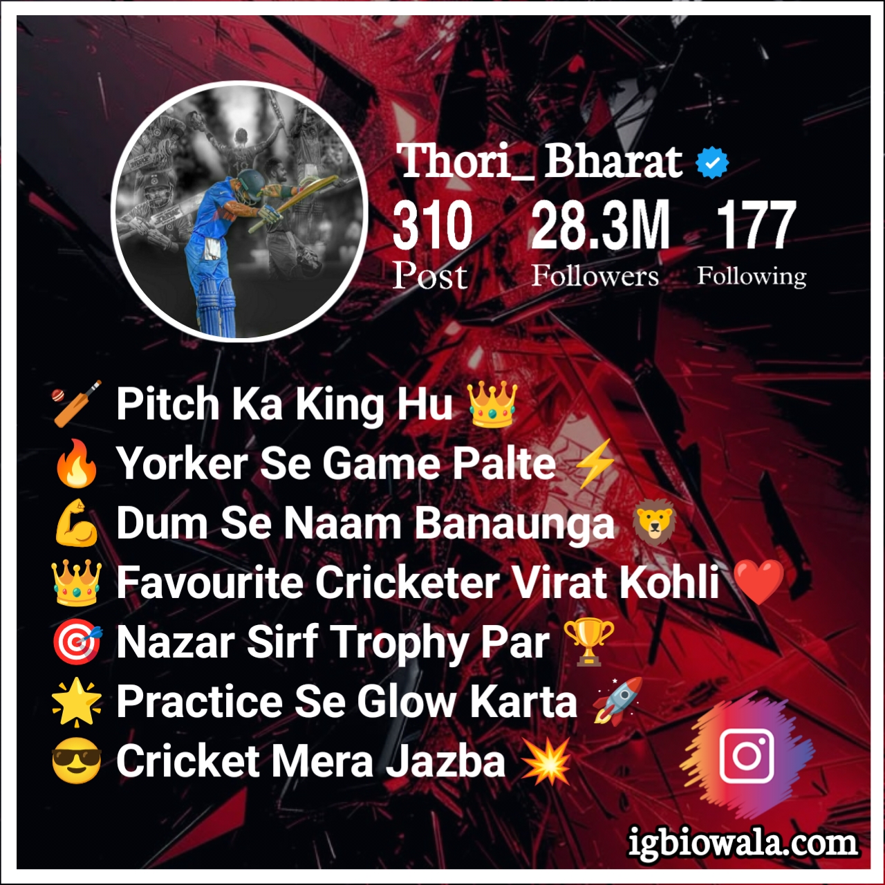 Cricket Bio For Instagram With Emoji