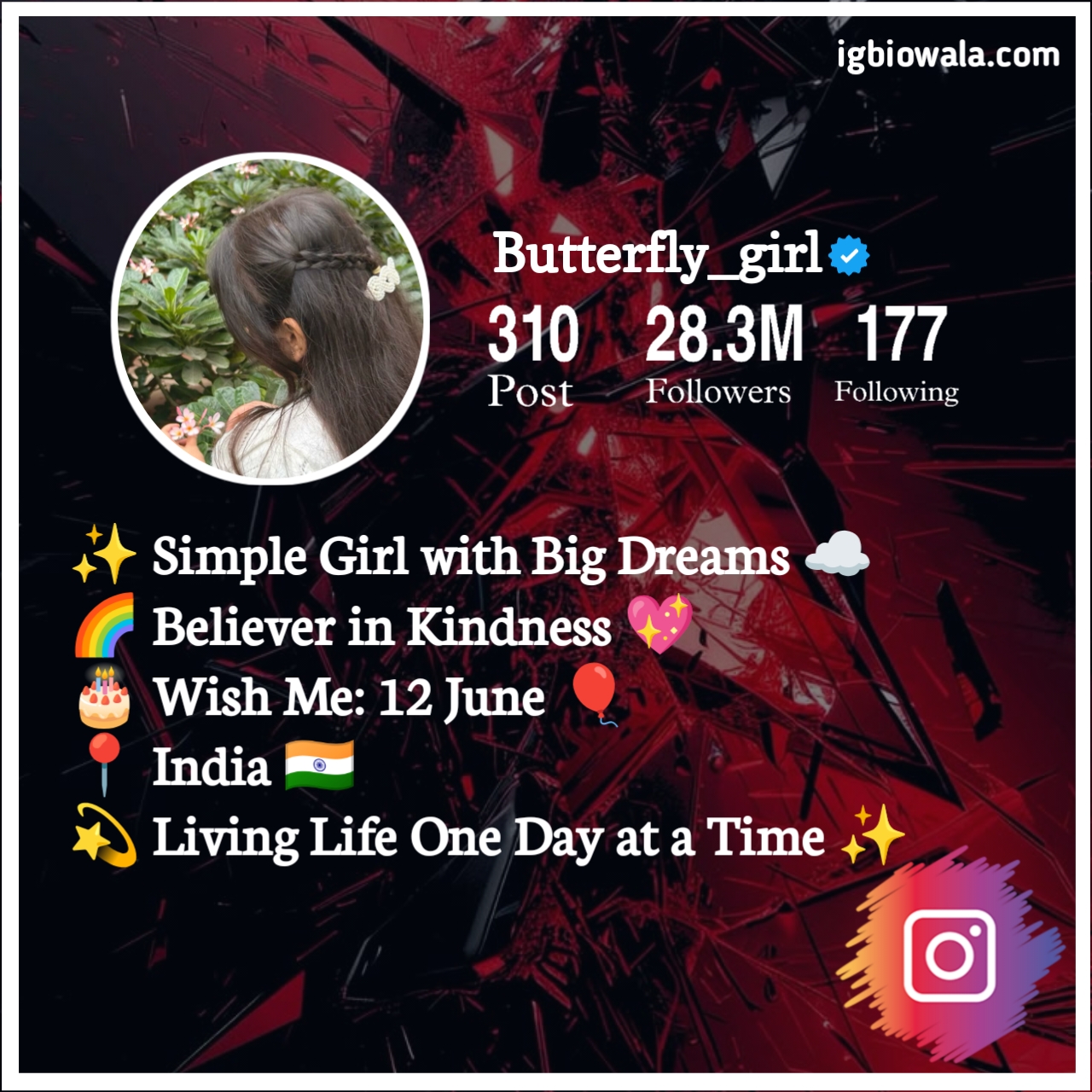 Instagram Bio For Girls Simple