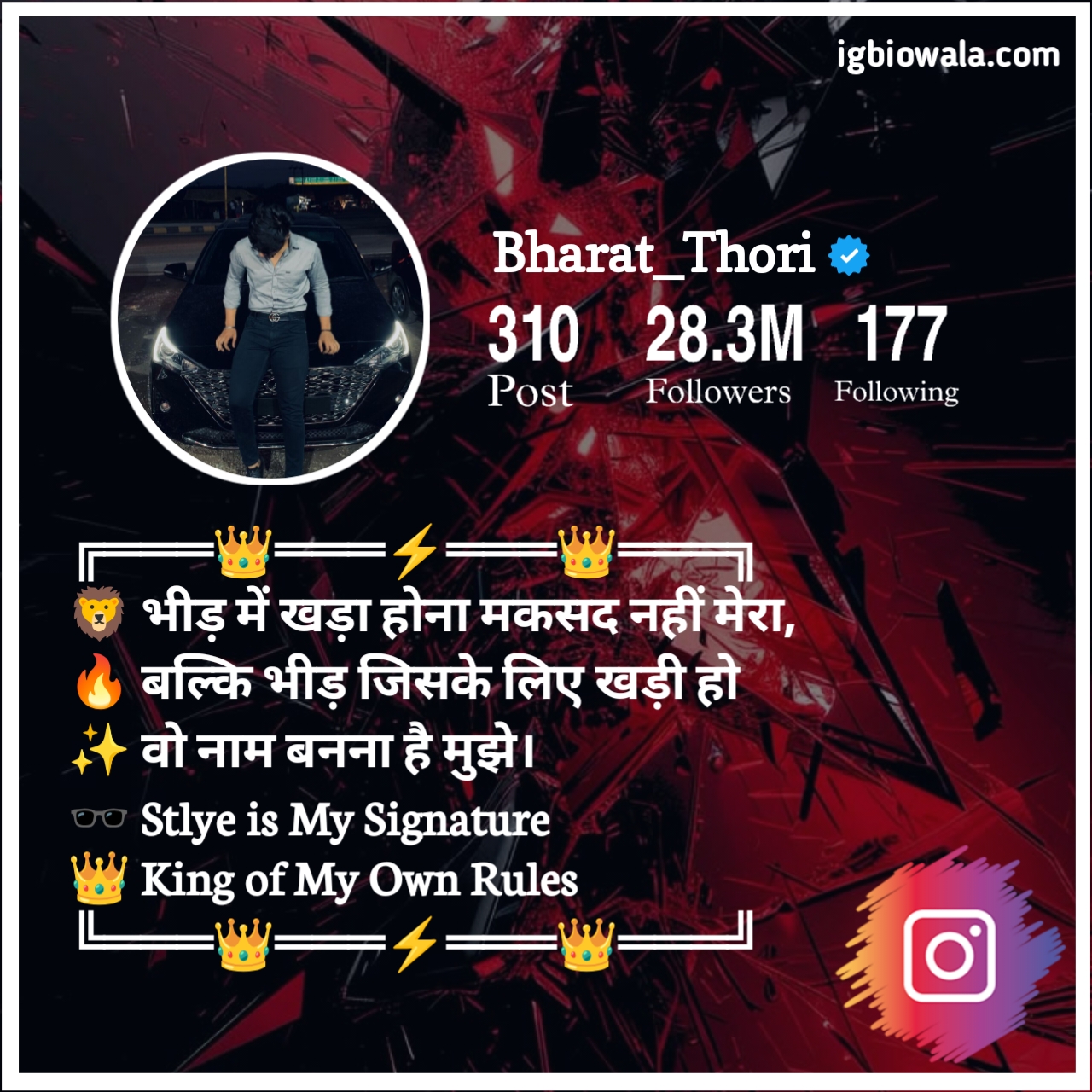 Instagram Bio Shayari Stylish