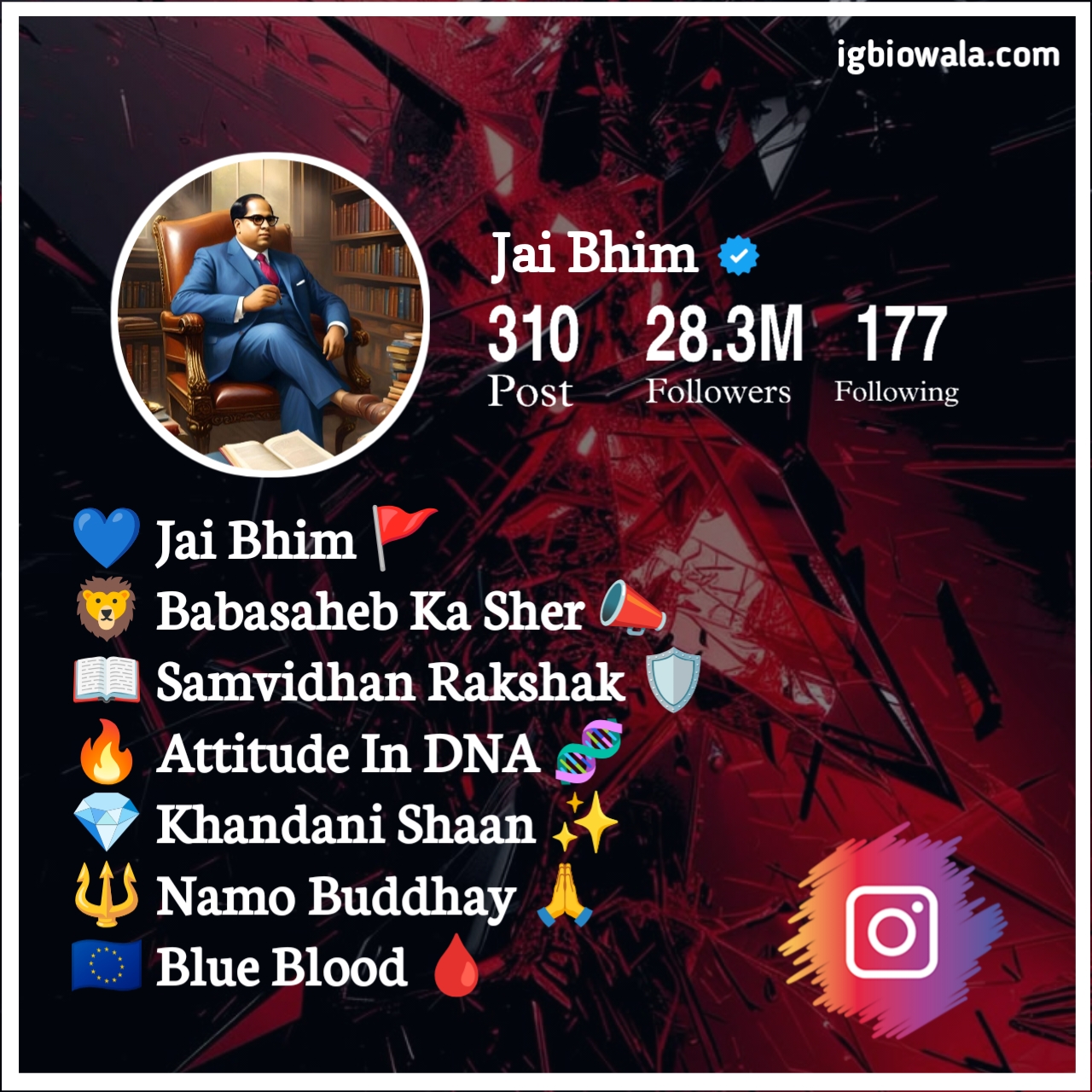 Instagram Bio Jay Bhim Stylish