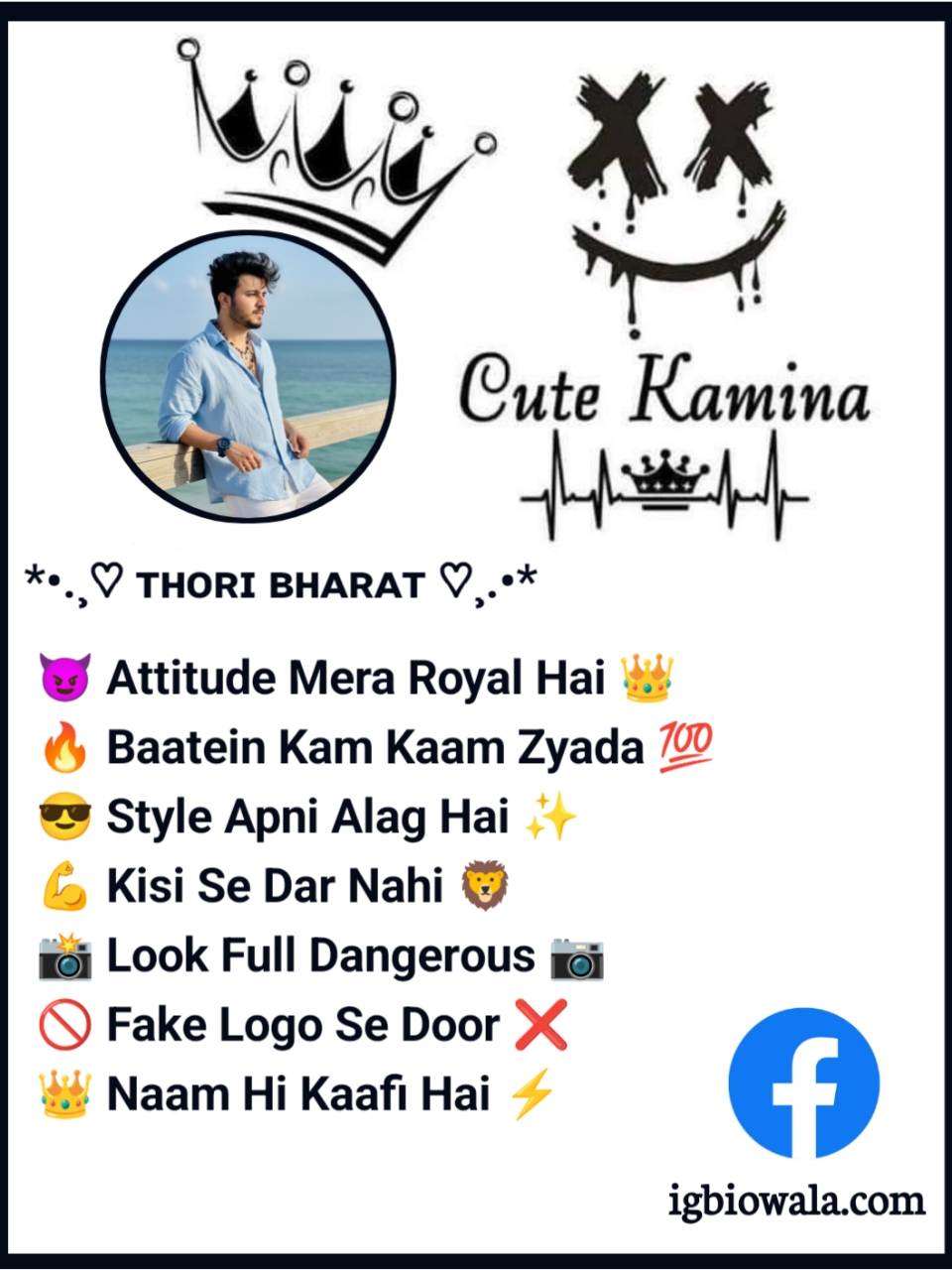 Facebook Bio For Boys Attitude