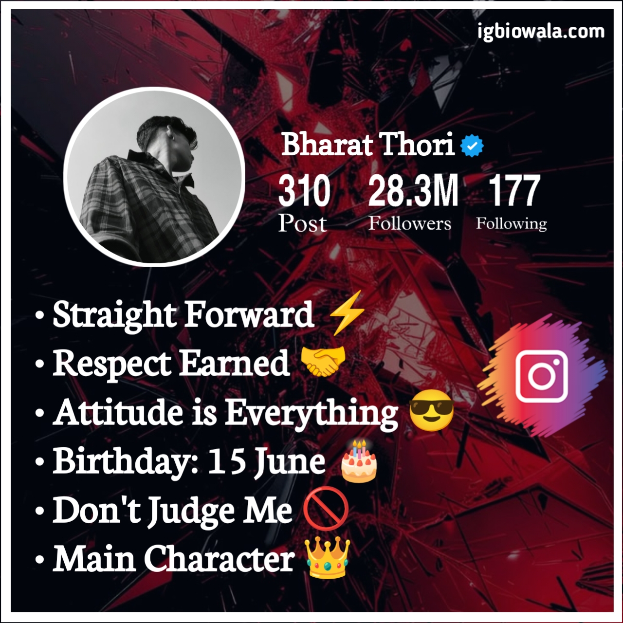 Instagram Bio For Boys English