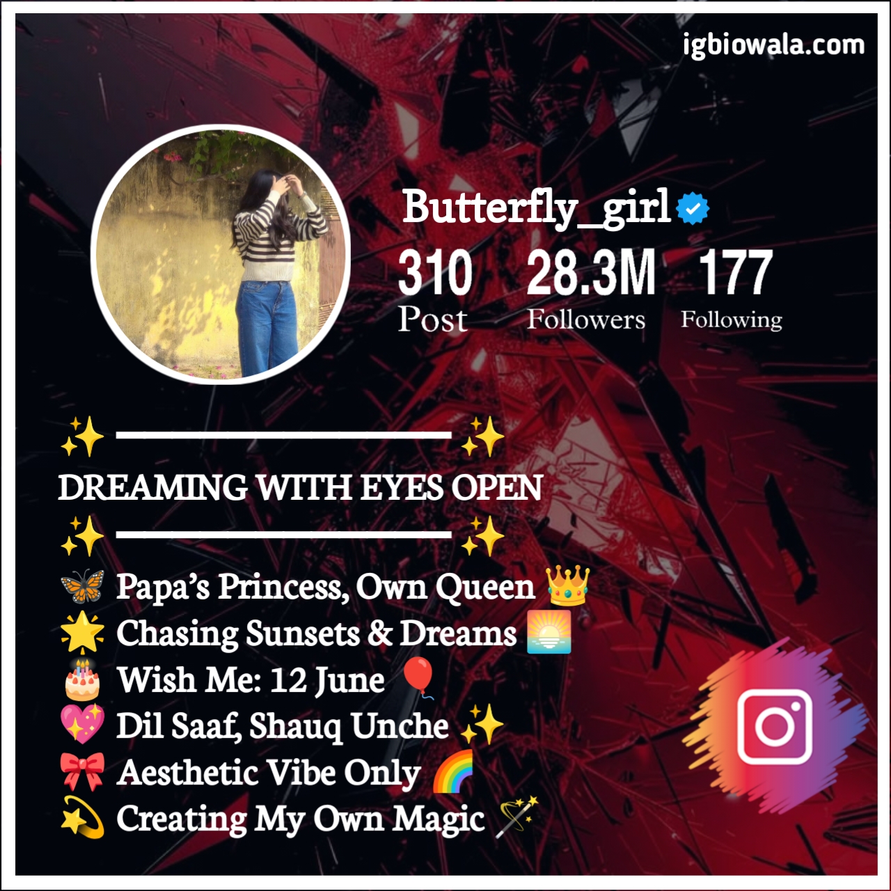 Instagram Bio For Girls Stylish