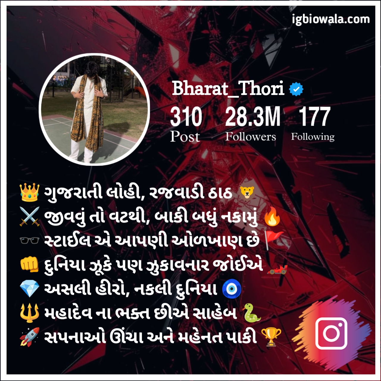 Instagram Bio In Gujarati
