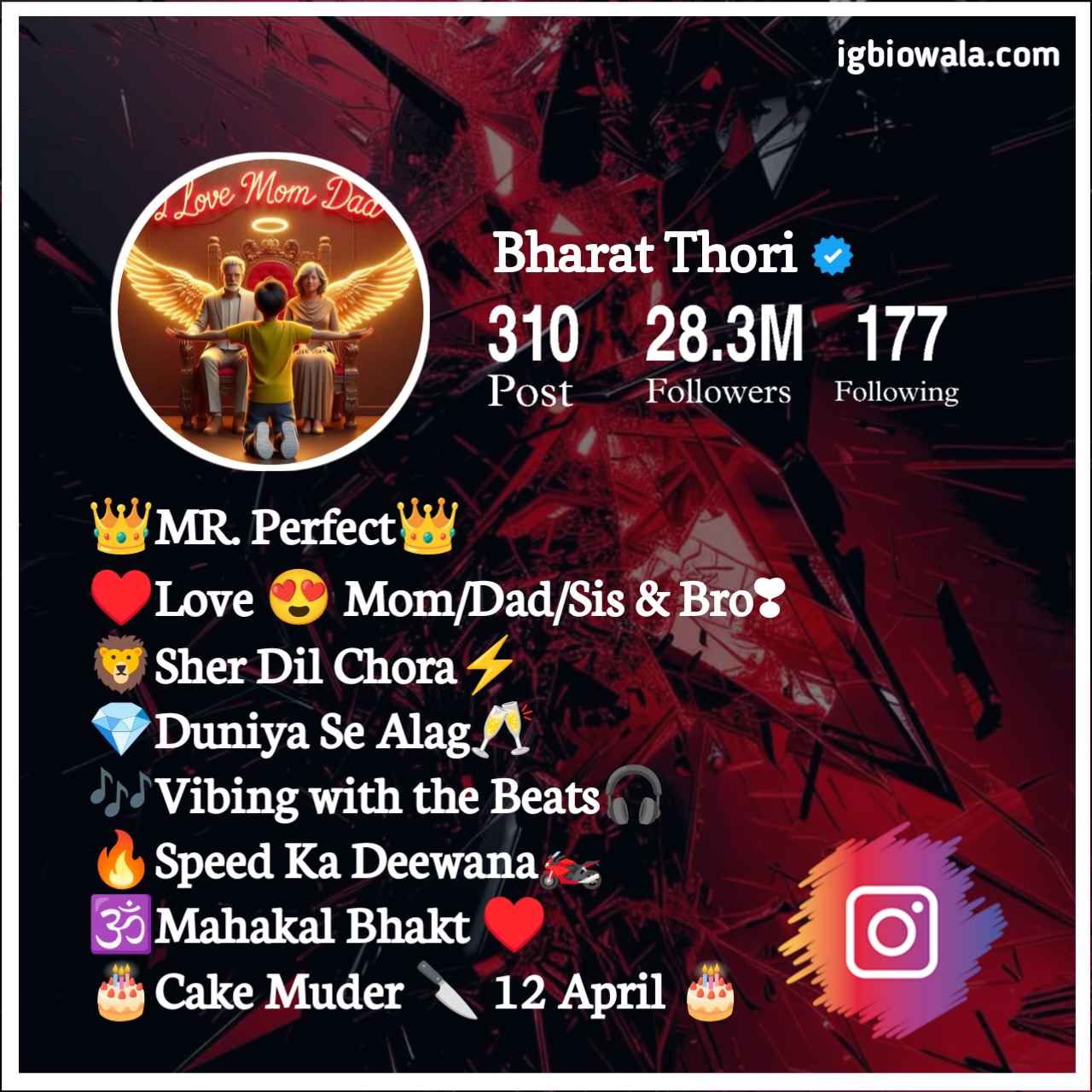 Instagram Bio For Mom Dad Lover