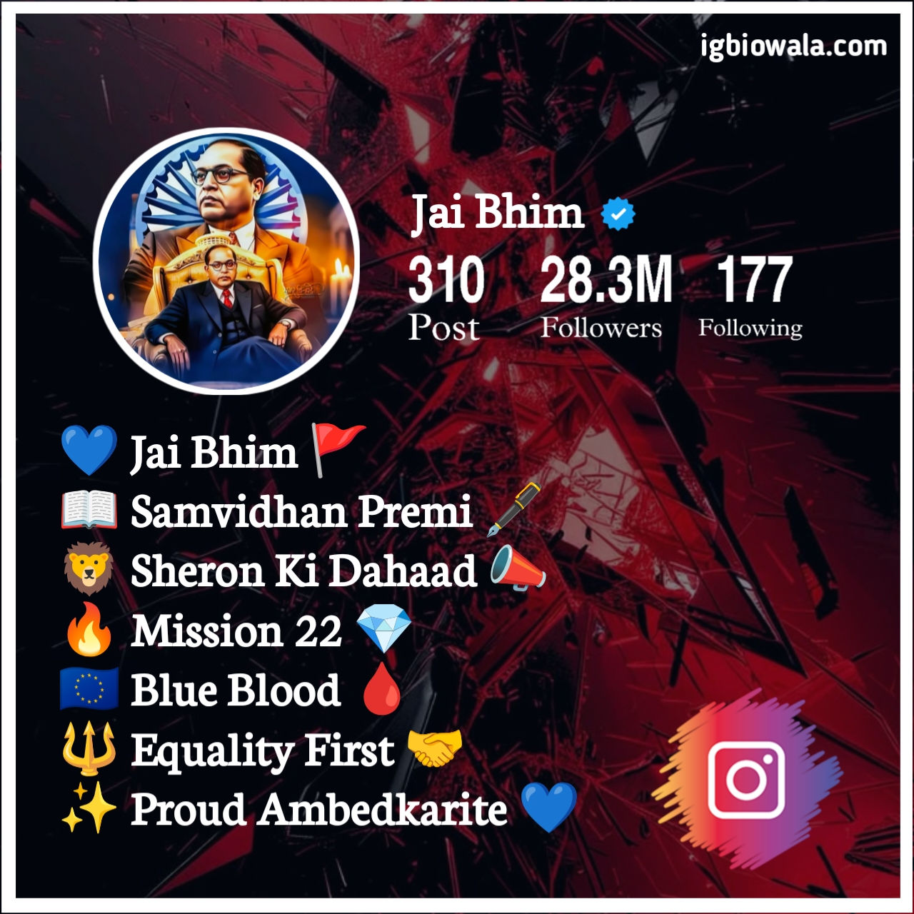 Jai Bhim Bio For Instagram