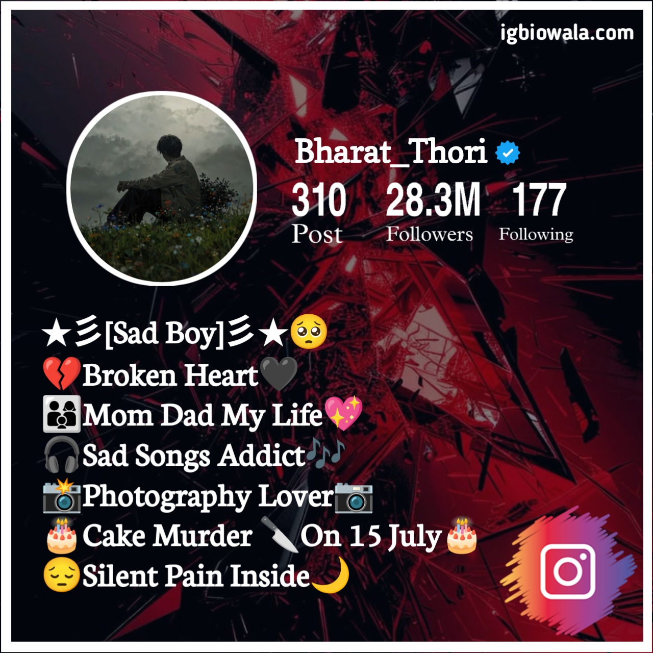 Sad Bio For Instagram