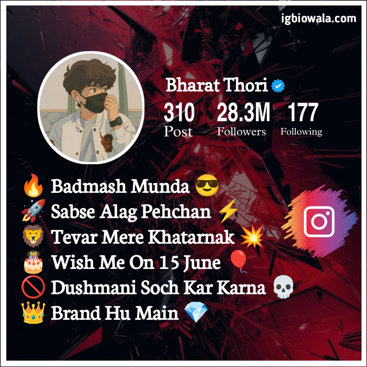 Instagram Bio For Boys Simple
