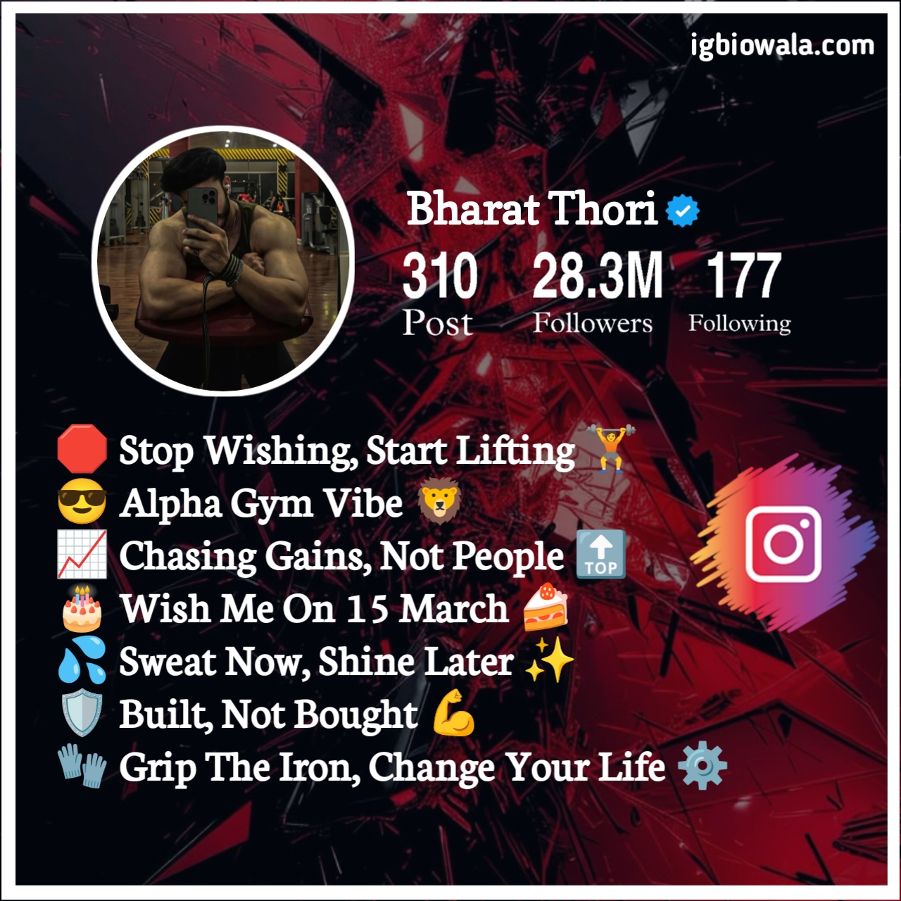 Gym Bio For Instagram In English